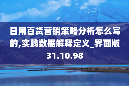 日用百货营销策略分析怎么写的,实践数据解释定义_界面版31.10.98