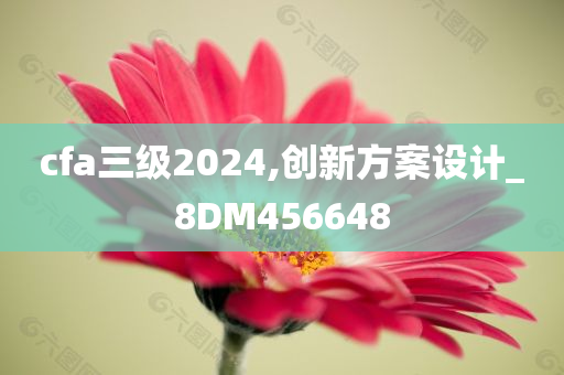 cfa三级2024,创新方案设计_8DM456648