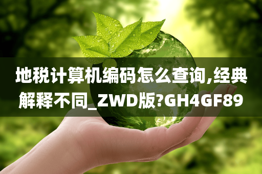 地税计算机编码怎么查询,经典解释不同_ZWD版?GH4GF89