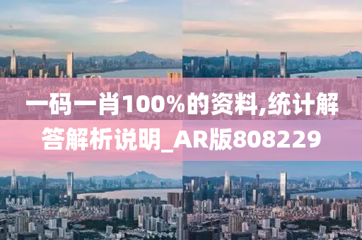 一码一肖100%的资料,统计解答解析说明_AR版808229