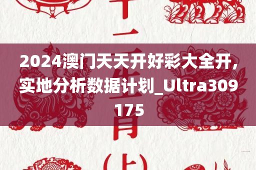 2024澳门天天开好彩大全开,实地分析数据计划_Ultra309175