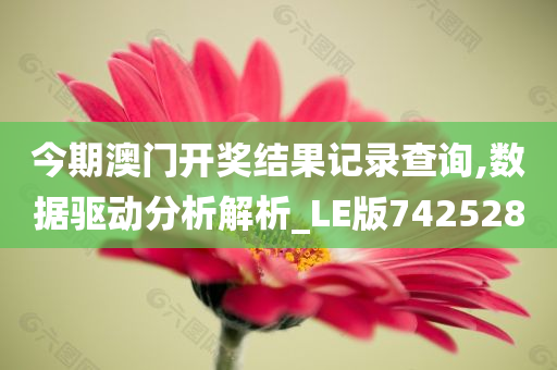 今期澳门开奖结果记录查询,数据驱动分析解析_LE版742528