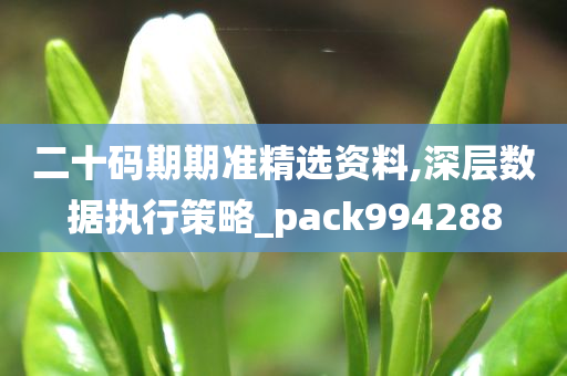 二十码期期准精选资料,深层数据执行策略_pack994288