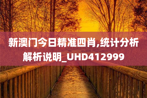 新澳门今日精准四肖,统计分析解析说明_UHD412999