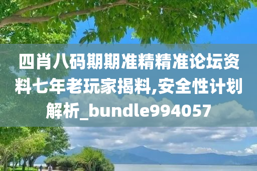 四肖八码期期准精精准论坛资料七年老玩家揭料,安全性计划解析_bundle994057