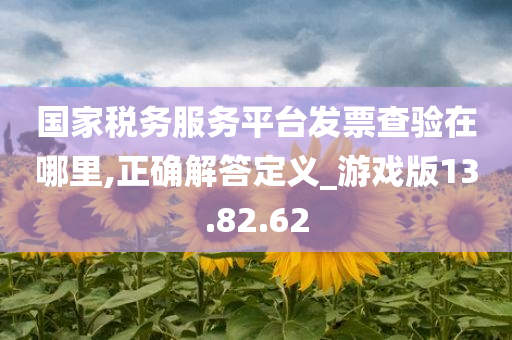 国家税务服务平台发票查验在哪里,正确解答定义_游戏版13.82.62