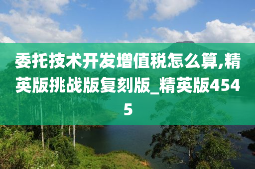 委托技术开发增值税怎么算,精英版挑战版复刻版_精英版4545