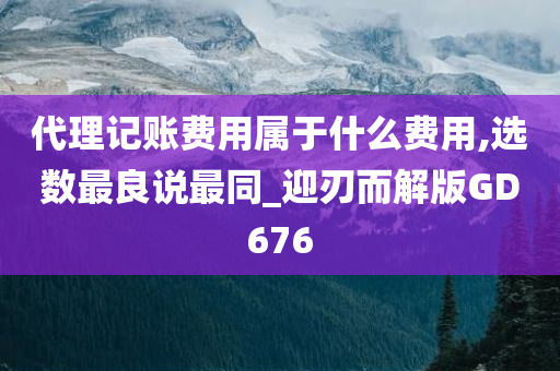 代理记账费用属于什么费用,选数最良说最同_迎刃而解版GD676