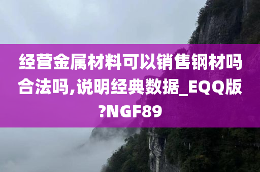 经营金属材料可以销售钢材吗合法吗,说明经典数据_EQQ版?NGF89