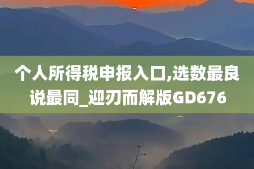 个人所得税申报入口,选数最良说最同_迎刃而解版GD676