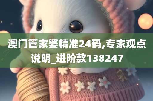 澳门管家婆精准24码,专家观点说明_进阶款138247