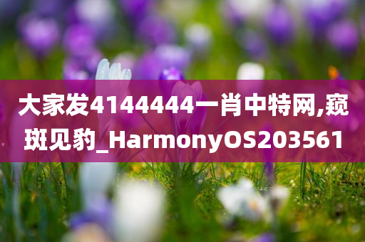 大家发4144444一肖中特网,窥斑见豹_HarmonyOS203561