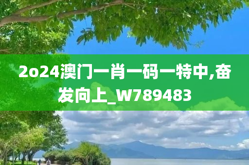 2o24澳门一肖一码一特中,奋发向上_W789483