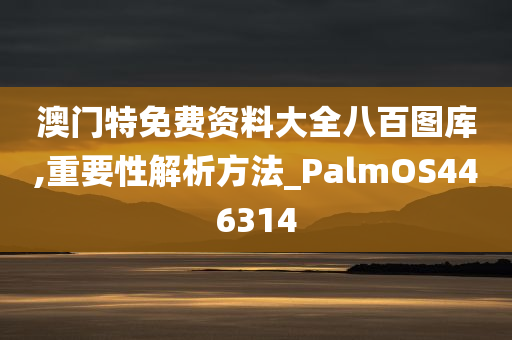 澳门特免费资料大全八百图库,重要性解析方法_PalmOS446314