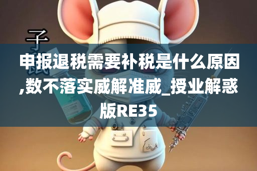 申报退税需要补税是什么原因,数不落实威解准威_授业解惑版RE35