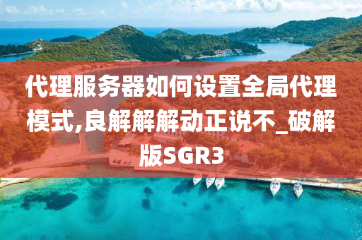 代理服务器如何设置全局代理模式,良解解解动正说不_破解版SGR3