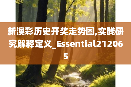 新澳彩历史开奖走势图,实践研究解释定义_Essential212065