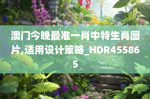 澳门今晚最准一肖中特生肖图片,适用设计策略_HDR455865