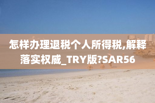 怎样办理退税个人所得税,解释落实权威_TRY版?SAR56