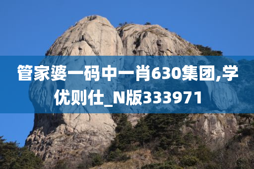 管家婆一码中一肖630集团,学优则仕_N版333971