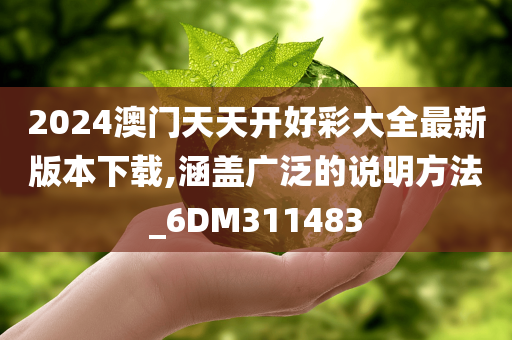 2024澳门天天开好彩大全最新版本下载,涵盖广泛的说明方法_6DM311483