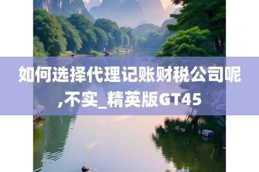 如何选择代理记账财税公司呢,不实_精英版GT45