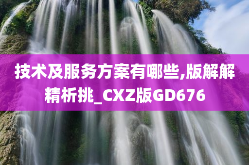 技术及服务方案有哪些,版解解精析挑_CXZ版GD676