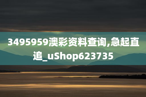 3495959澳彩资料查询,急起直追_uShop623735