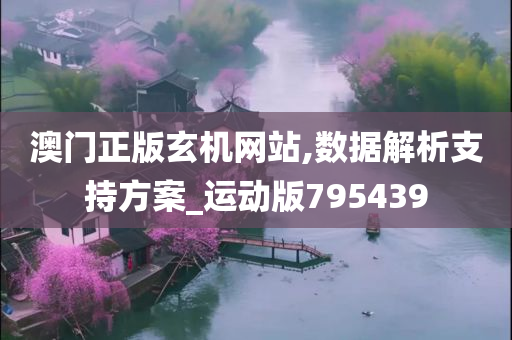 澳门正版玄机网站,数据解析支持方案_运动版795439