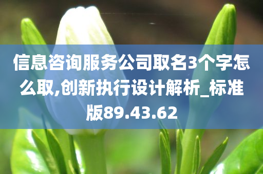 信息咨询服务公司取名3个字怎么取,创新执行设计解析_标准版89.43.62