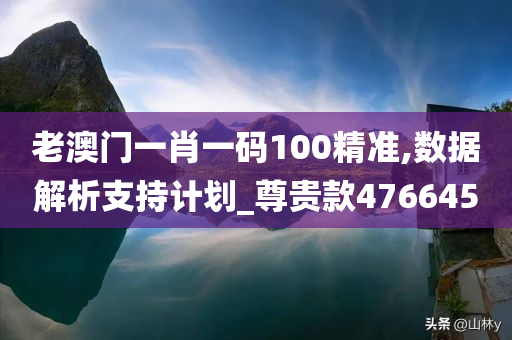 老澳门一肖一码100精准,数据解析支持计划_尊贵款476645