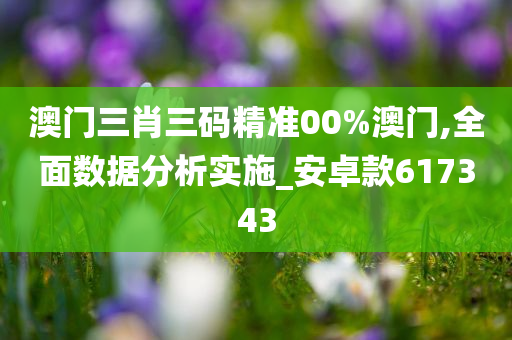 澳门三肖三码精准00%澳门,全面数据分析实施_安卓款617343