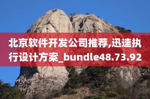 北京软件开发公司推荐,迅速执行设计方案_bundle48.73.92