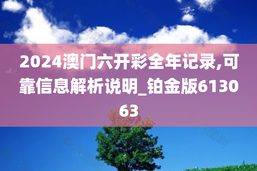 2024澳门六开彩全年记录,可靠信息解析说明_铂金版613063