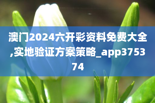 澳门2024六开彩资料免费大全,实地验证方案策略_app375374