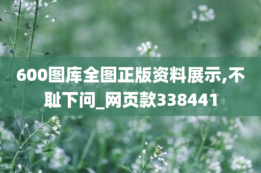 600图库全图正版资料展示,不耻下问_网页款338441