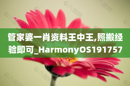 管家婆一肖资料王中王,照搬经验即可_HarmonyOS191757