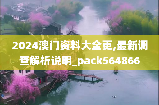 2024澳门资料大全更,最新调查解析说明_pack564866