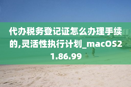 代办税务登记证怎么办理手续的,灵活性执行计划_macOS21.86.99