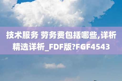 技术服务 劳务费包括哪些,详析精选详析_FDF版?FGF4543