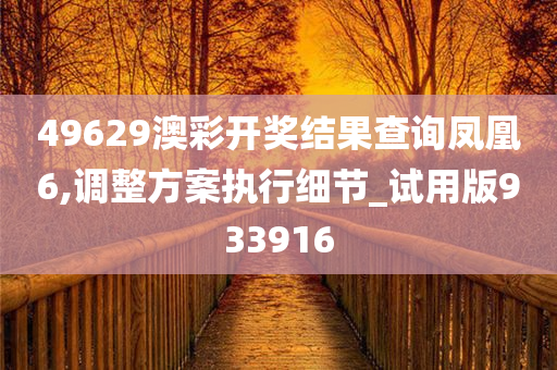 49629澳彩开奖结果查询凤凰6,调整方案执行细节_试用版933916