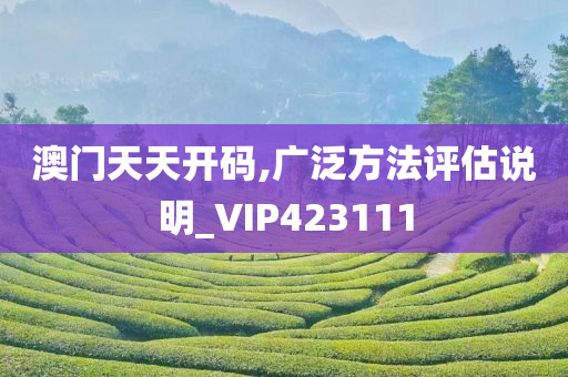 澳门天天开码,广泛方法评估说明_VIP423111