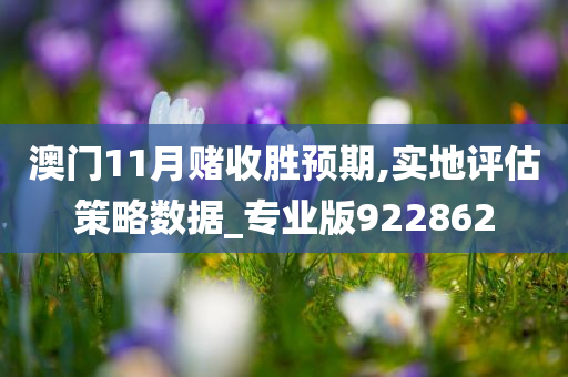 澳门11月赌收胜预期,实地评估策略数据_专业版922862