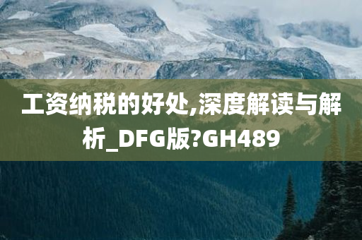 工资纳税的好处,深度解读与解析_DFG版?GH489