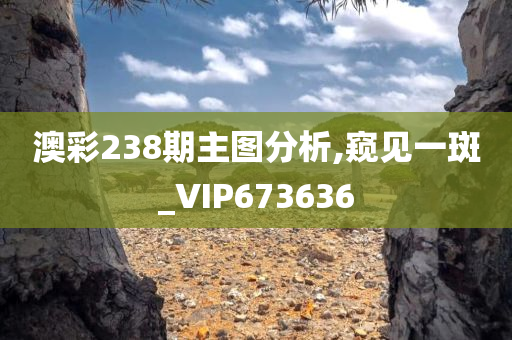 澳彩238期主图分析,窥见一斑_VIP673636