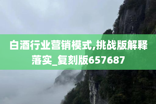 白酒行业营销模式,挑战版解释落实_复刻版657687