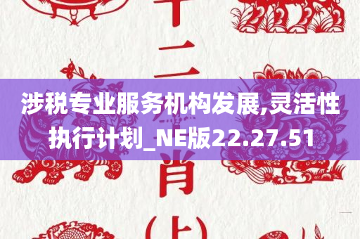 涉税专业服务机构发展,灵活性执行计划_NE版22.27.51