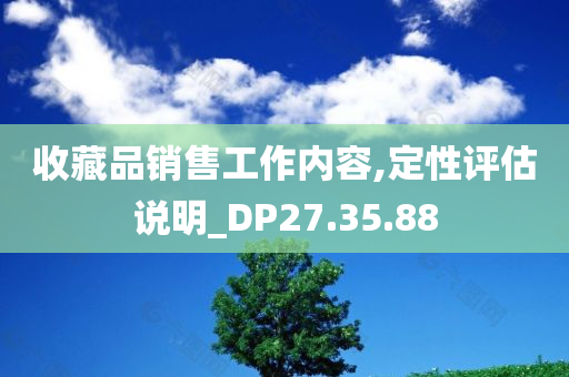 收藏品销售工作内容,定性评估说明_DP27.35.88