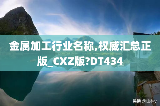 金属加工行业名称,权威汇总正版_CXZ版?DT434