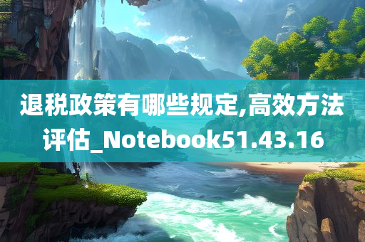 退税政策有哪些规定,高效方法评估_Notebook51.43.16